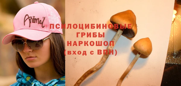 индика Балахна