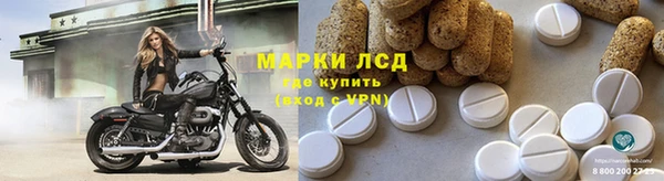 хмурый Аркадак
