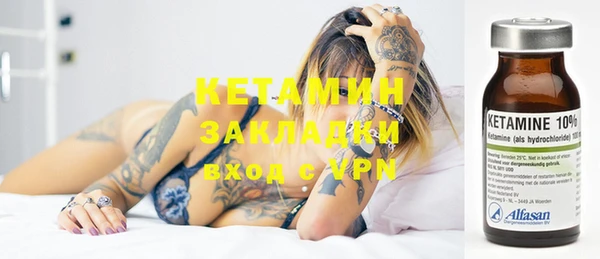 хмурый Аркадак