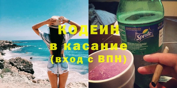 хмурый Аркадак