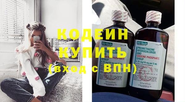 индика Балахна