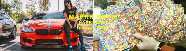 хмурый Аркадак