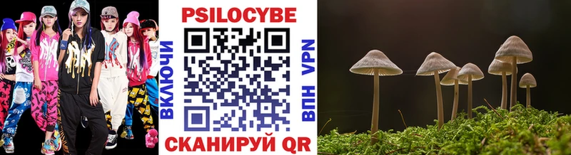 что такое   blacksprut зеркало  Псилоцибиновые грибы Psilocybine cubensis  Певек 